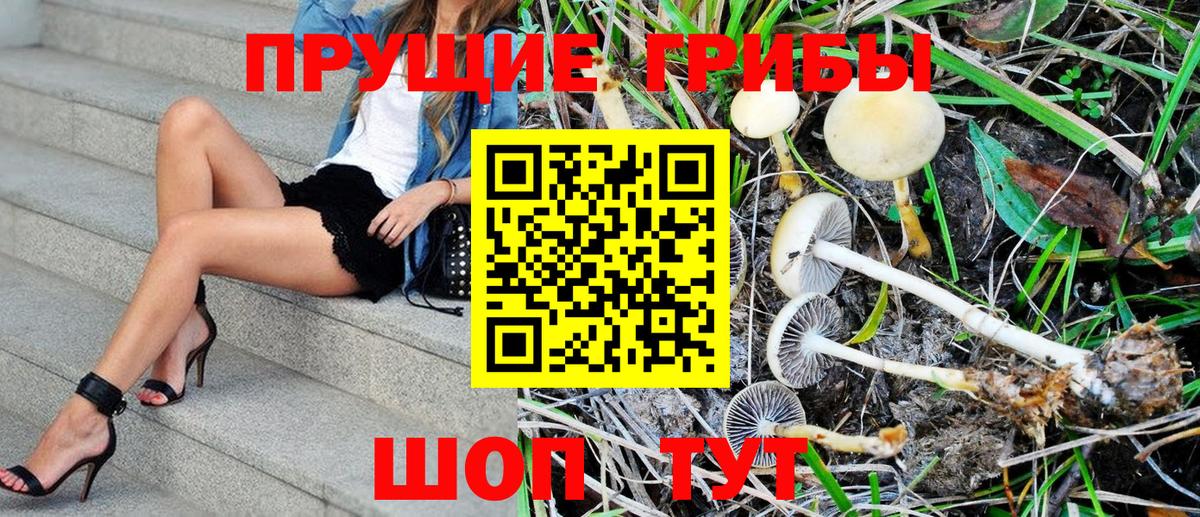 Псилоцибиновые грибы MAGIC MUSHROOMS Гагарин