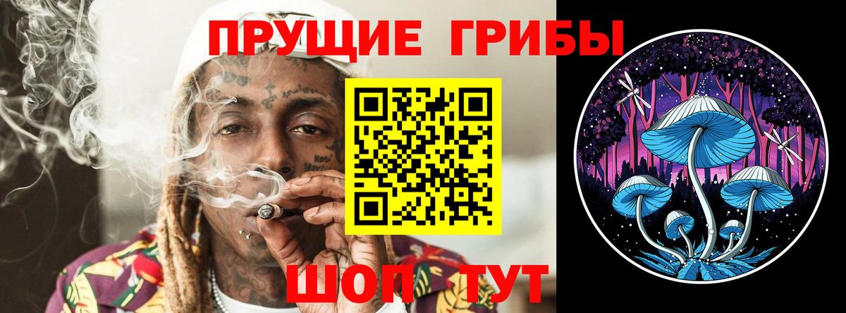 Гагарин  Галлюциногенные грибы мухоморы  Вход с VPN 
