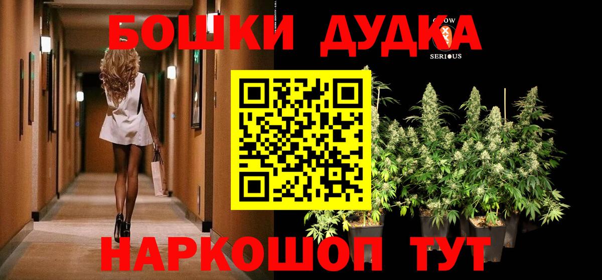 Шишки марихуана White Widow  Вход с VPN  Шишки марихуана сатива  Шишки марихуана сатива  Гагарин  Бошки марихуана White Widow 